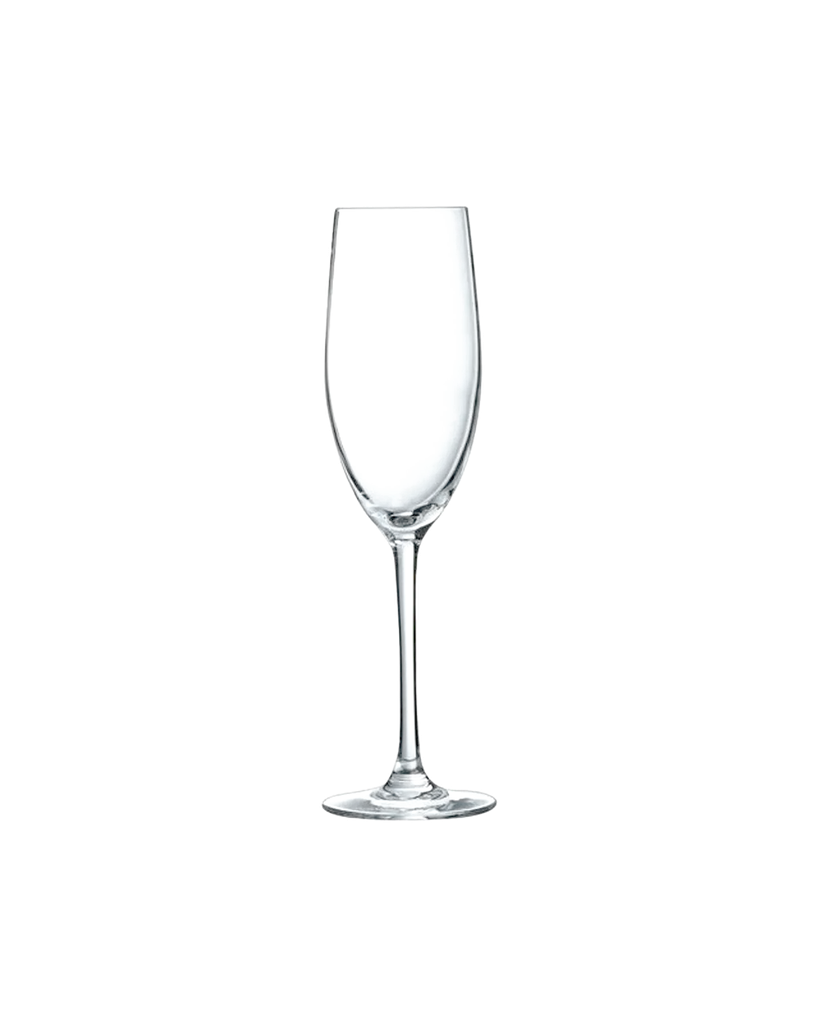V3011-01-FLUTE-21CL.webp
