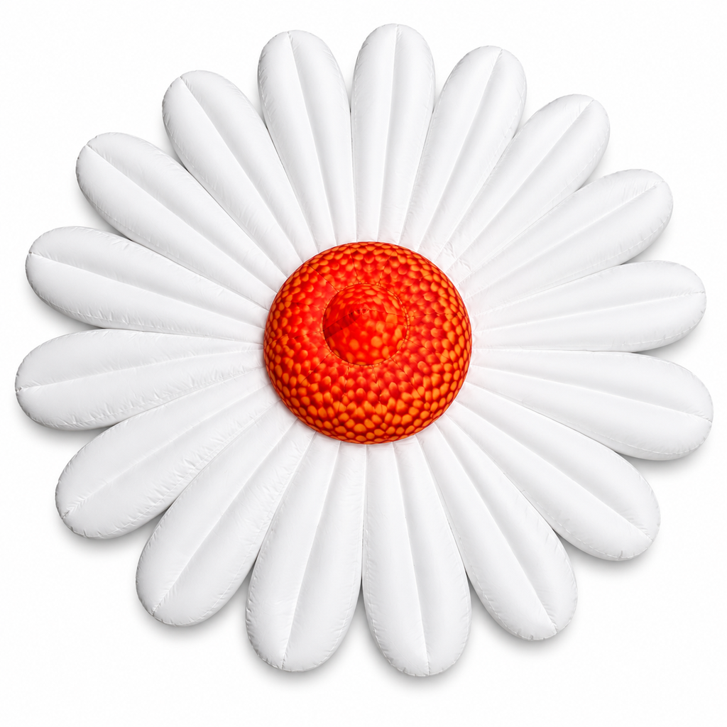 Pâquerette blanche 