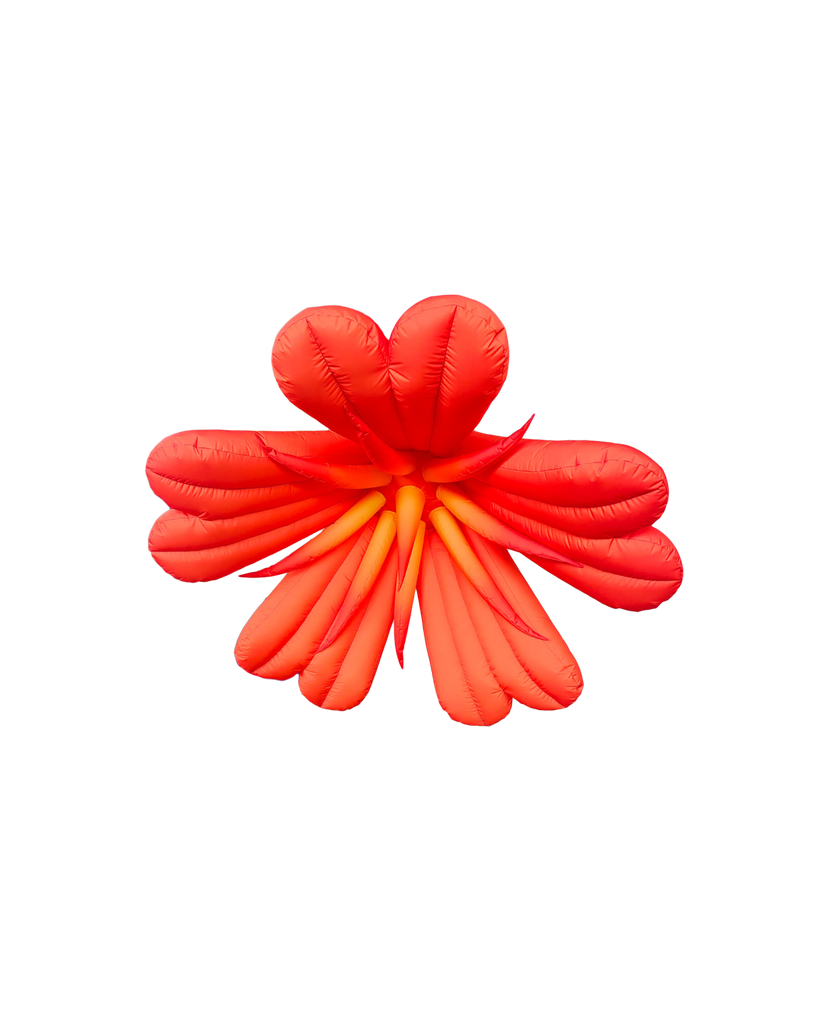 Fleur orange 