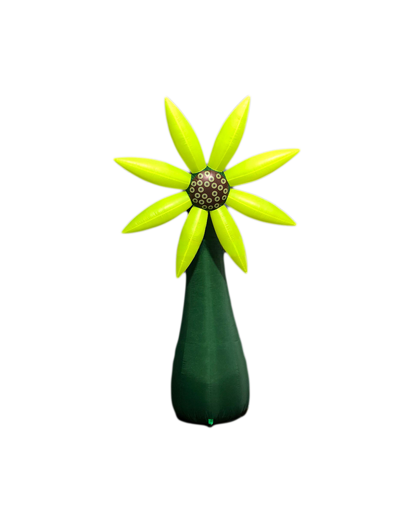 Fleur sur pied 