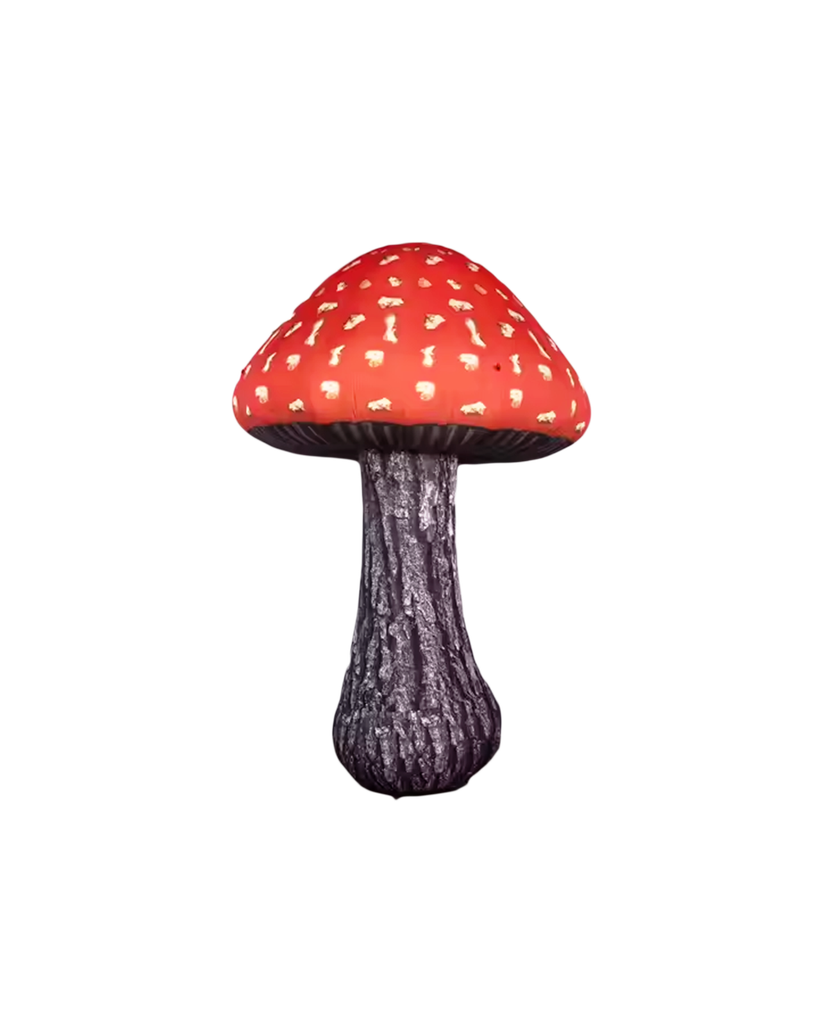 Le Champignon Royal 4m