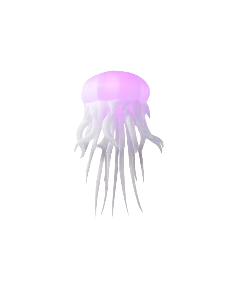 La Méduse Aurore