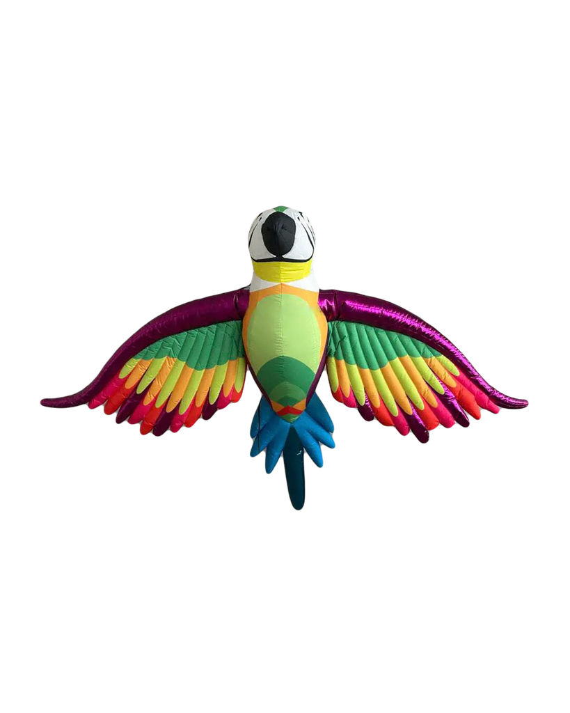 Perroquet Arc-en-ciel