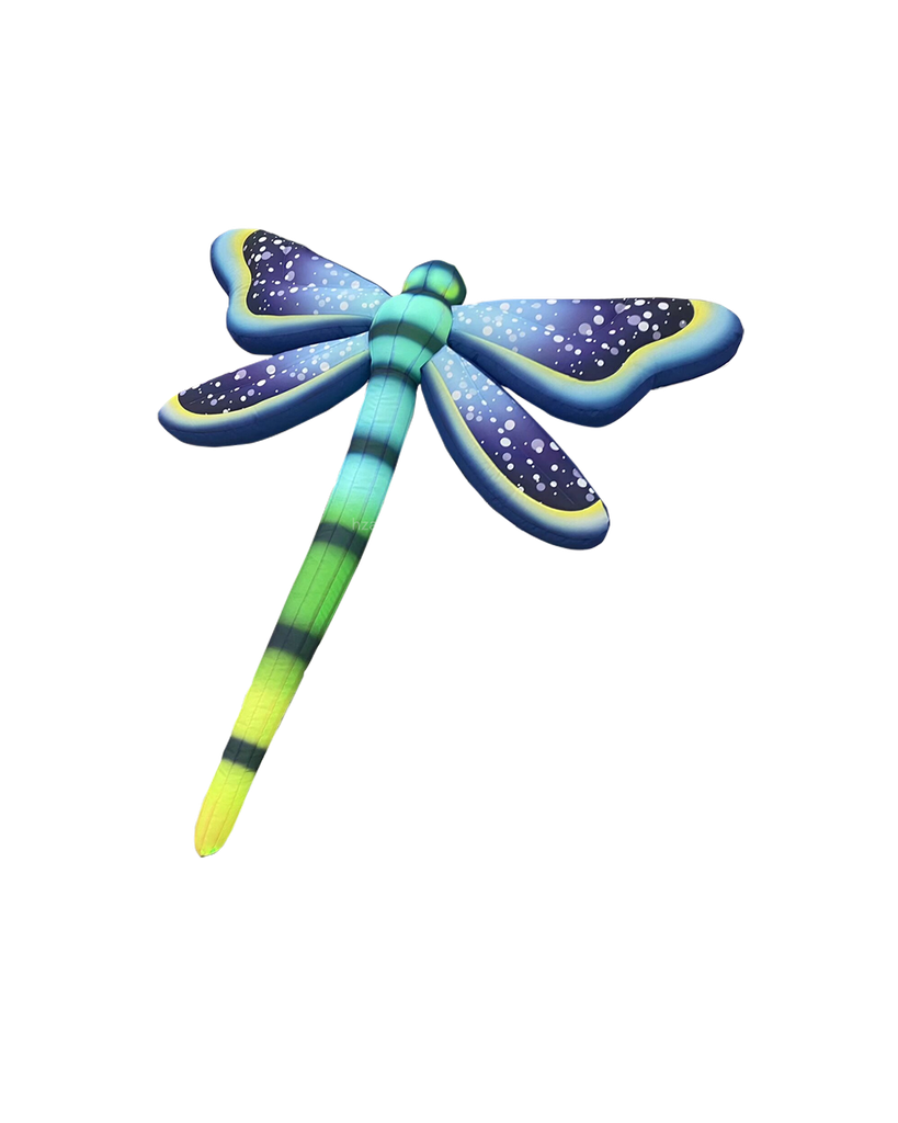 Libellule 
