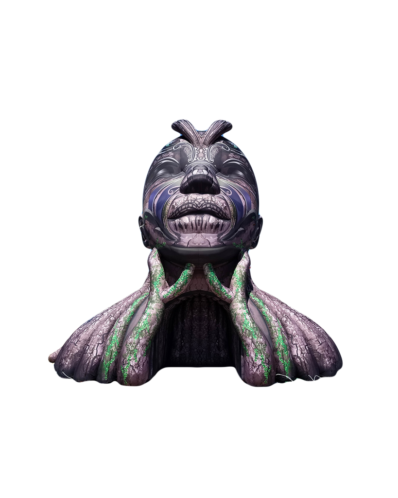 Visage de pierre 
