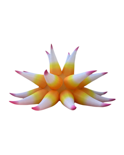 [GD7013] Fleur pointue