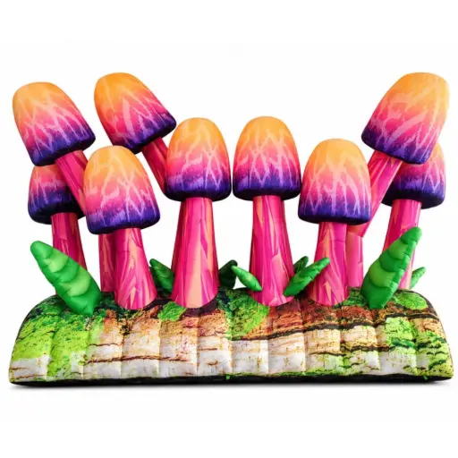 [GD7043] Bûche aux Champignons