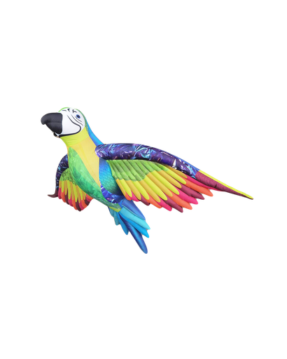 [GD7047] Arc-en-ciel Volant