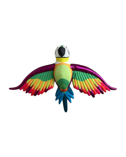 [GD7048] Perroquet Arc-en-ciel