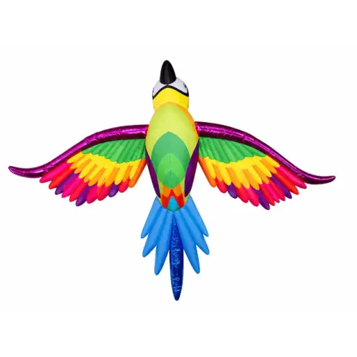 [GD7048] Perroquet Arc-en-ciel